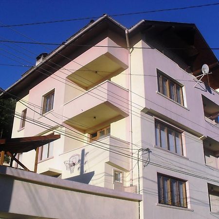 Vitosha Guest House Devin Exterior photo